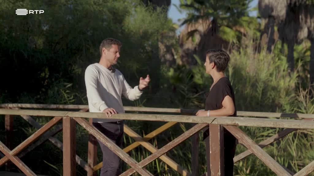 Imagem de As Palavras do Mundo