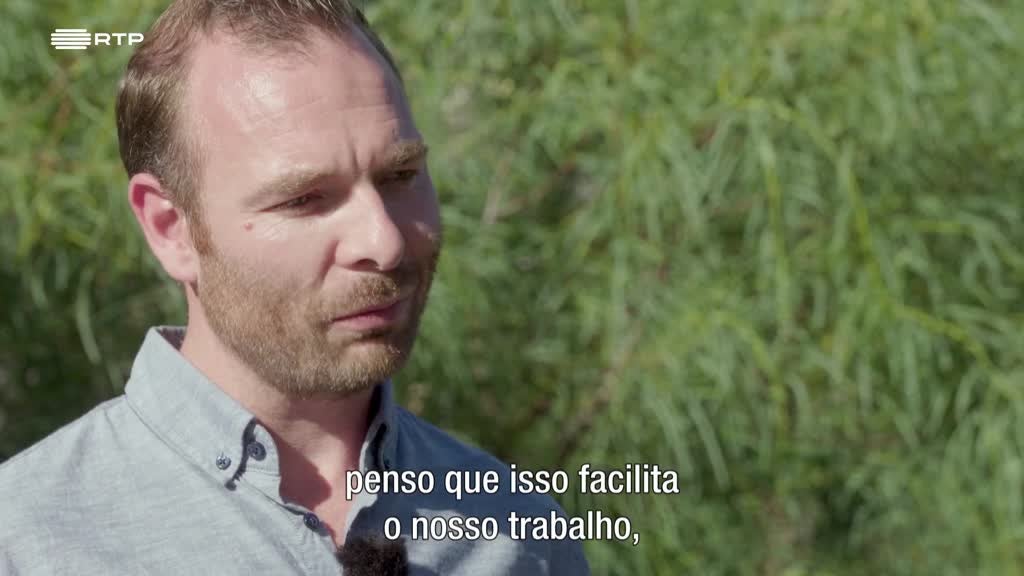 Imagem de As Palavras do Mundo