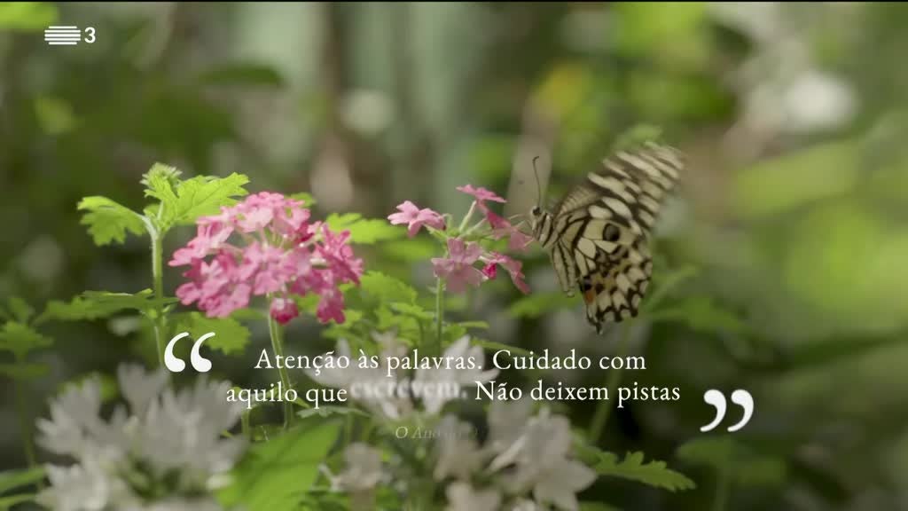 Imagem de As Palavras do Mundo