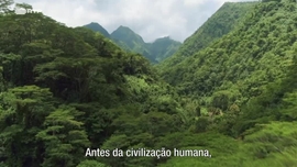Imagem de Reprimitivar - O Regresso  Natureza