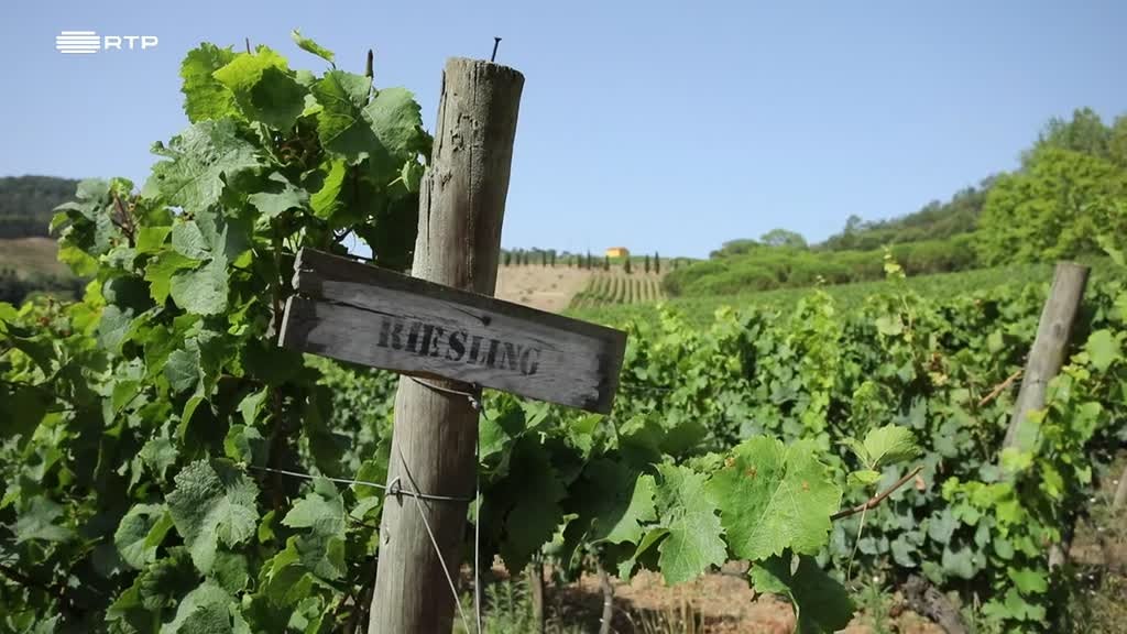 Imagem de A Essência