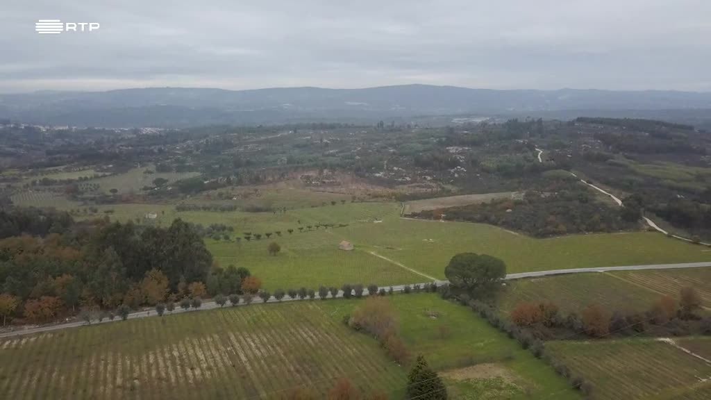 Imagem de A Essência