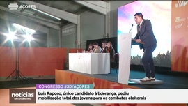 Imagem de Apresentação | Dulce Vieira