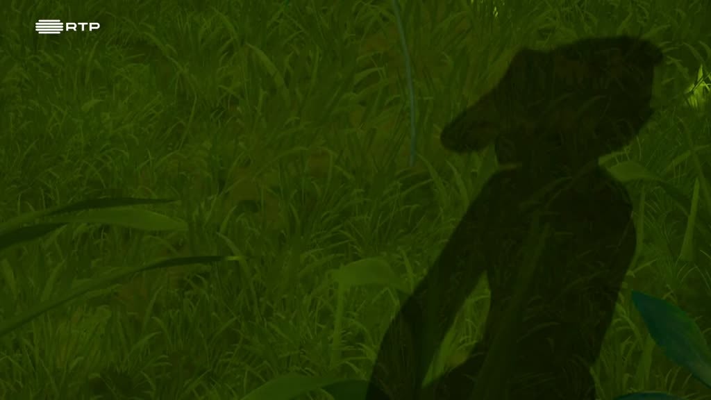 Imagem de Tom Sawyer