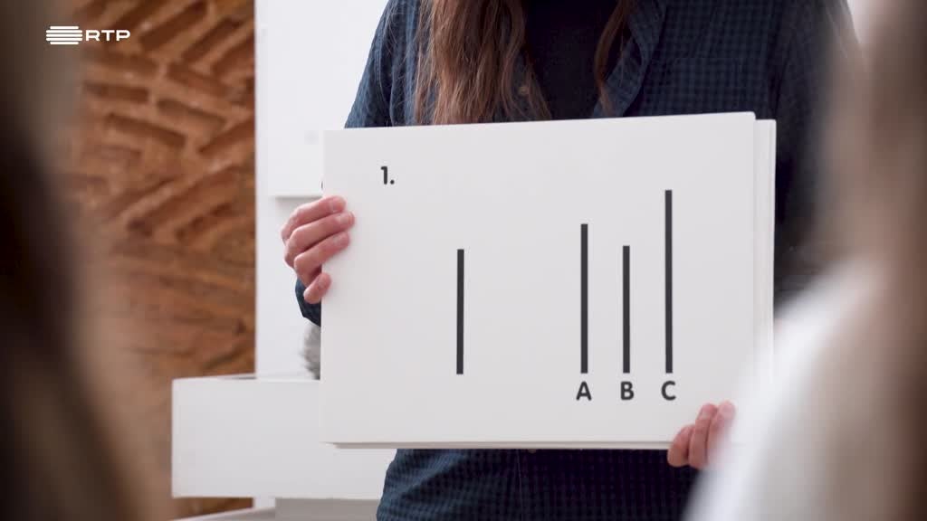 Imagem de Descomplica - Viver entre pares