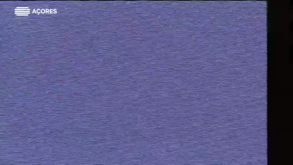 Imagem de Diário do Tremor | 2023 - Diário #3