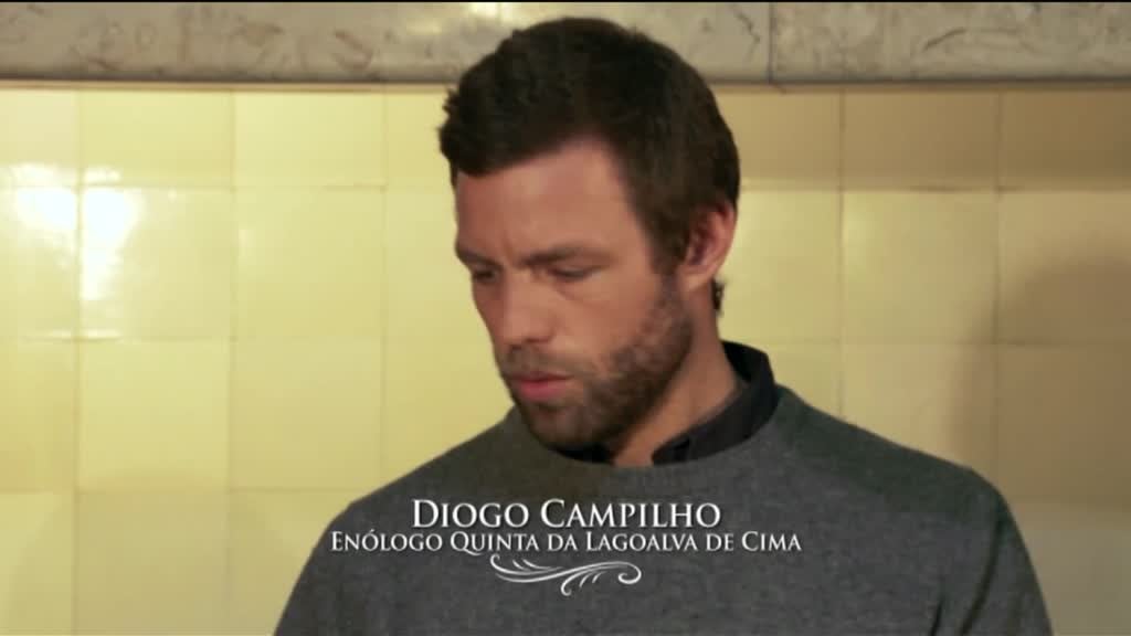 Imagem de Verdade do Vinho - Tejo