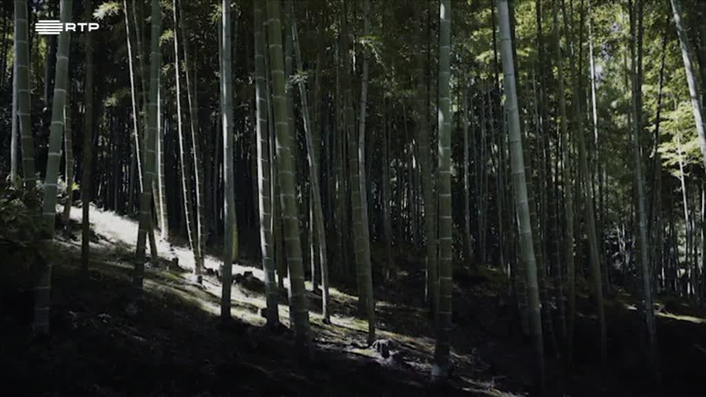 Imagem de Impressões do Oriente: As Viagens de Fe