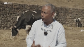 Imagem de Estratégia para o Povoamento de Cabo Verde e seus Desenvolvimentos - Ilha De Santiago