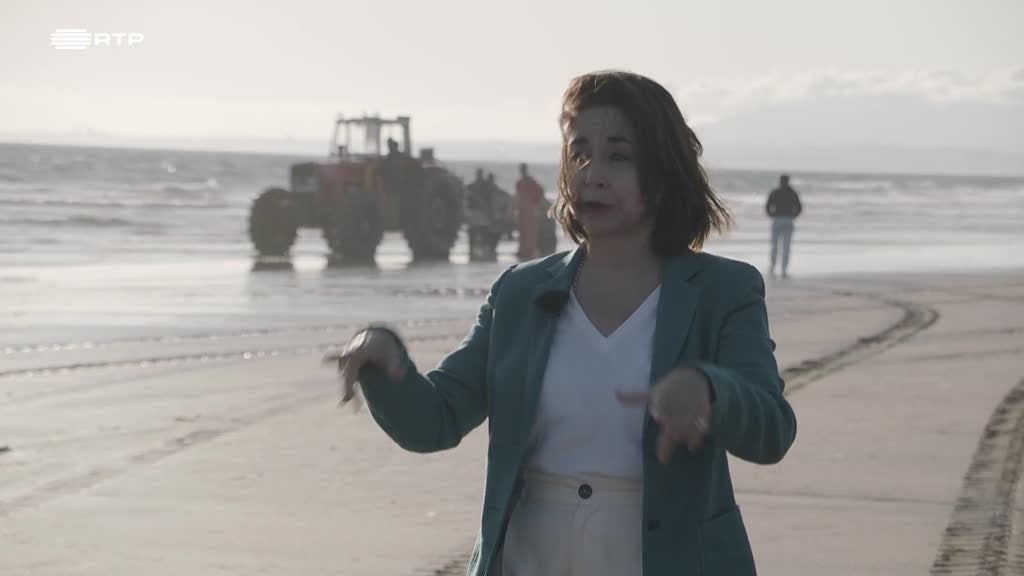 Imagem de Visita Guiada - Costa da Caparica