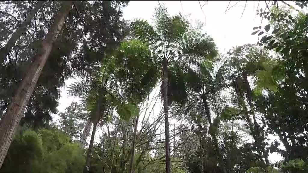 Imagem de Solares e Palácios dos Açores - Casas e Ermida de José do Canto | Furnas