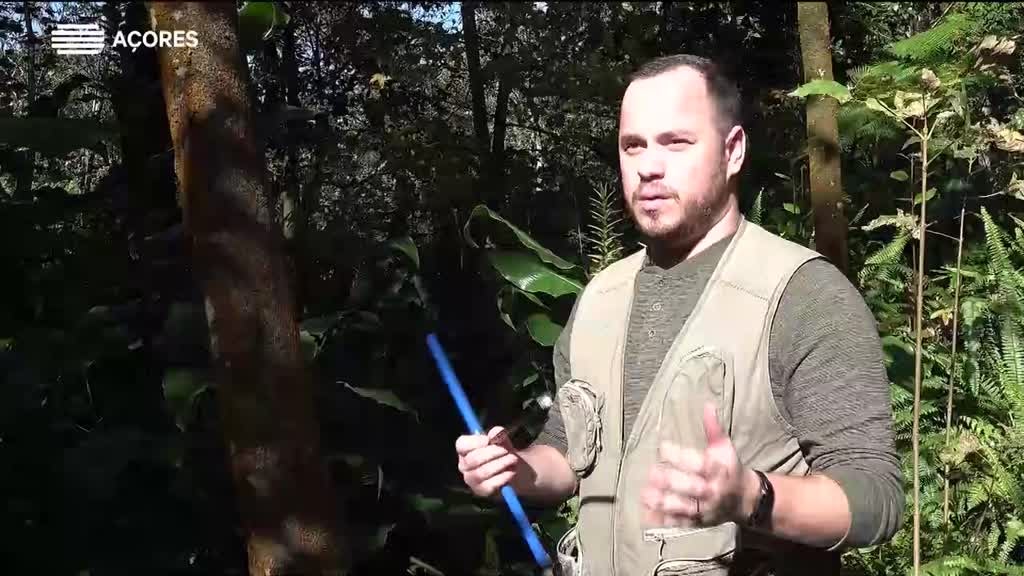 Imagem de Jovens Cientistas dos Açores - Diogo Pavão