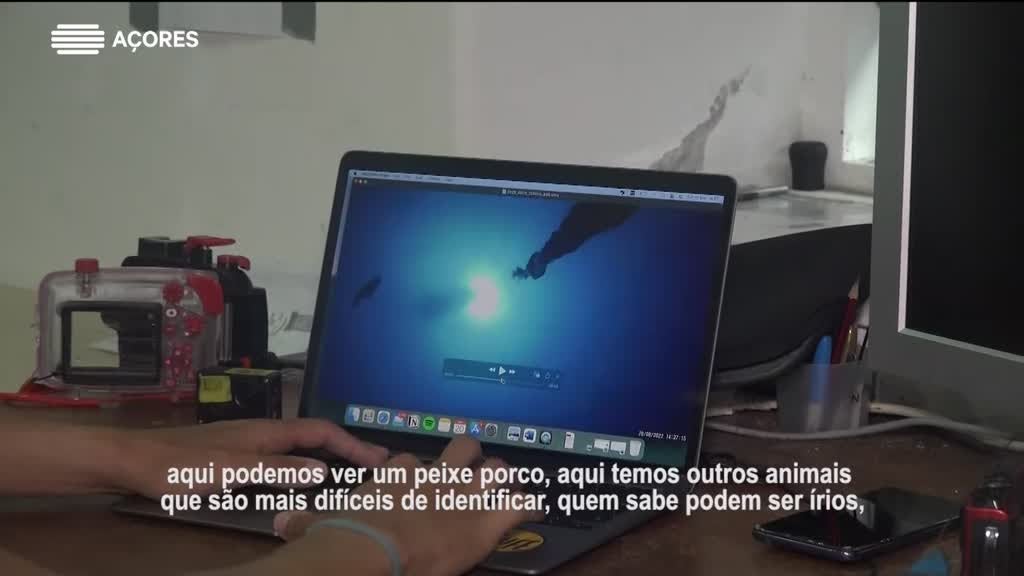 Imagem de Jovens Cientistas dos Açores - Jorge Moreno