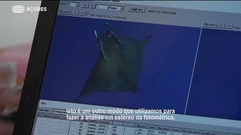 Imagem de Jovens Cientistas dos Açores - Glória Castellano