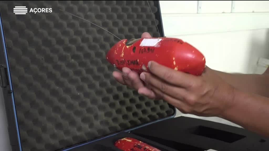 Imagem de Jovens Cientistas dos Açores - Jorge Fontes