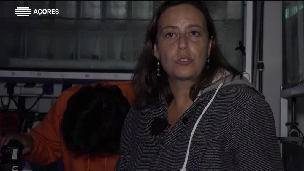 Imagem de Jovens Cientistas dos Açores - Marina Carreiro Silva