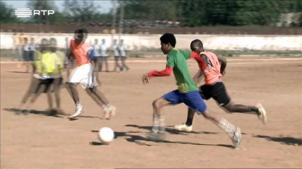 Imagem de Vidas de Chapa, Vidas Com Sonhos - Felizarda Lemos