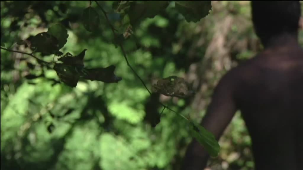 Imagem de Tribunal Constitucional: 40 Anos a Cumpr - Acórdão 17/94