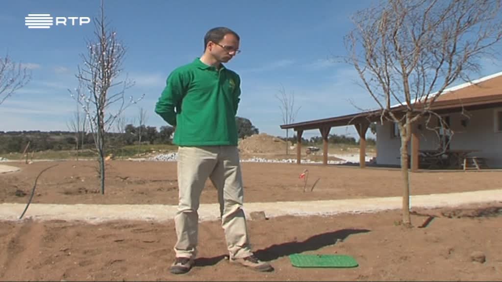 Imagem de A Verde e a Cores