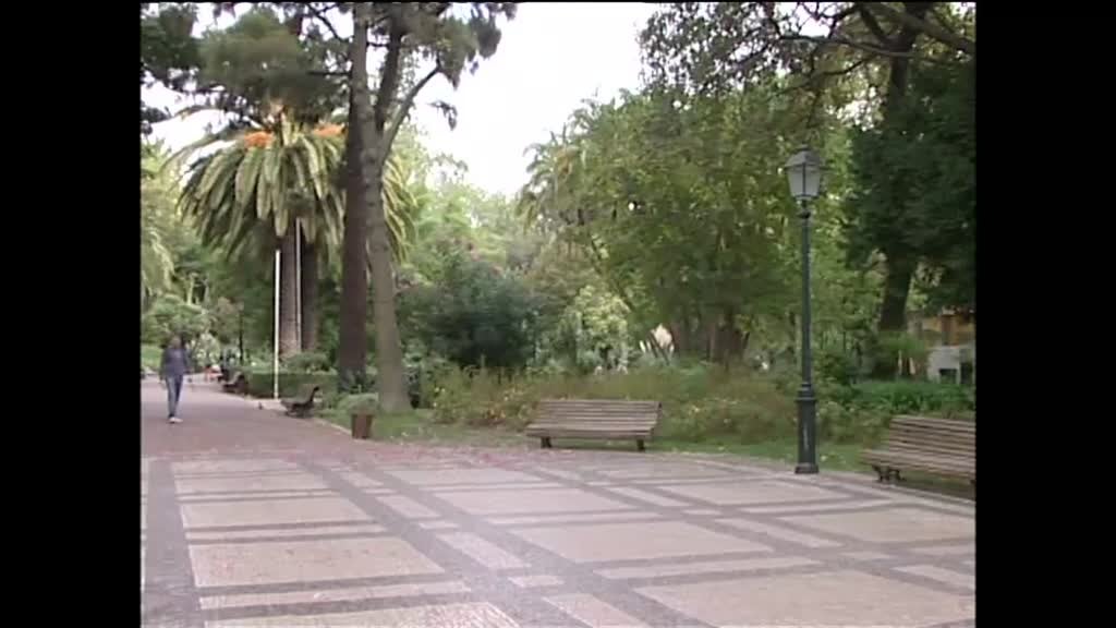 Imagem de A Verde e a Cores