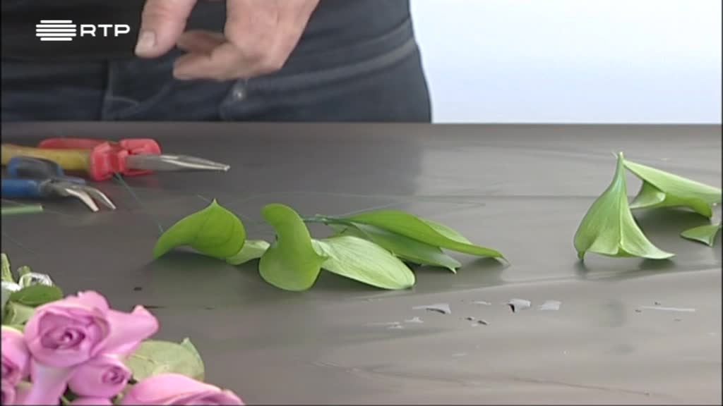 Imagem de A Verde e a Cores