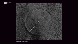 Imagem de Jos M. Rodrigues