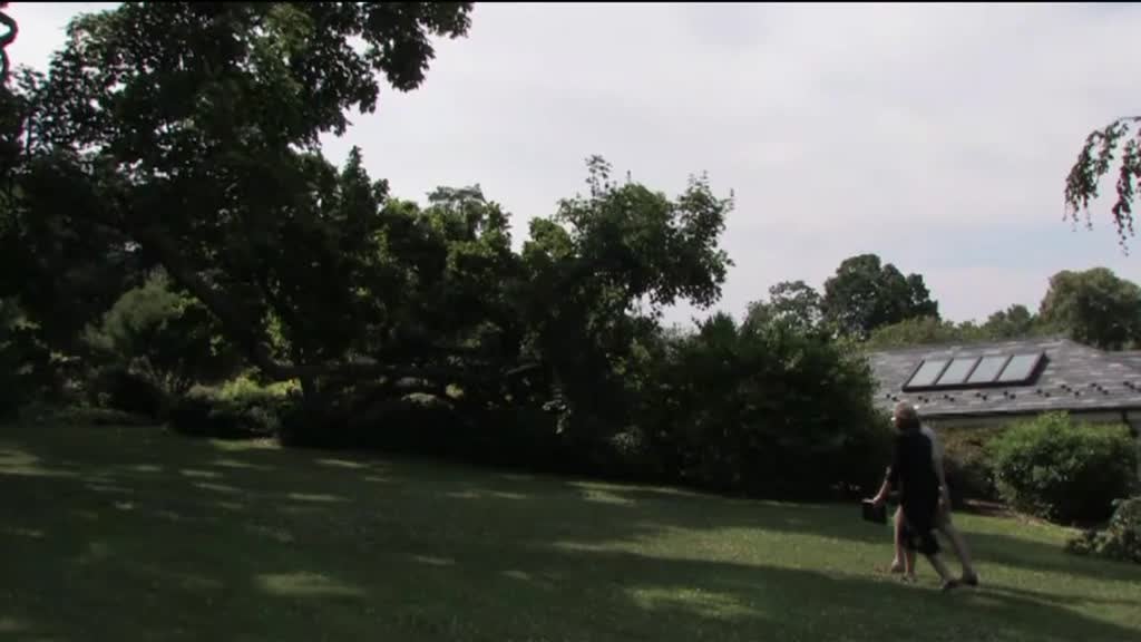 Imagem de Entre Imagens - Gabriela Albergaria