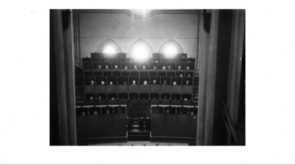 Imagem de Entre Imagens - José Luís Neto