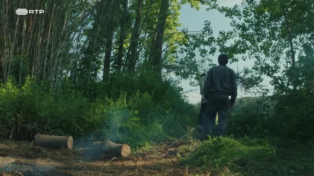 Imagem de A Hora dos Lobos