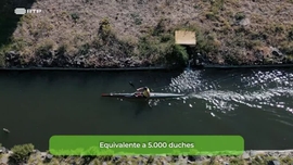 Imagem de Minuto Energia