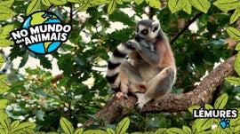 Imagem de 