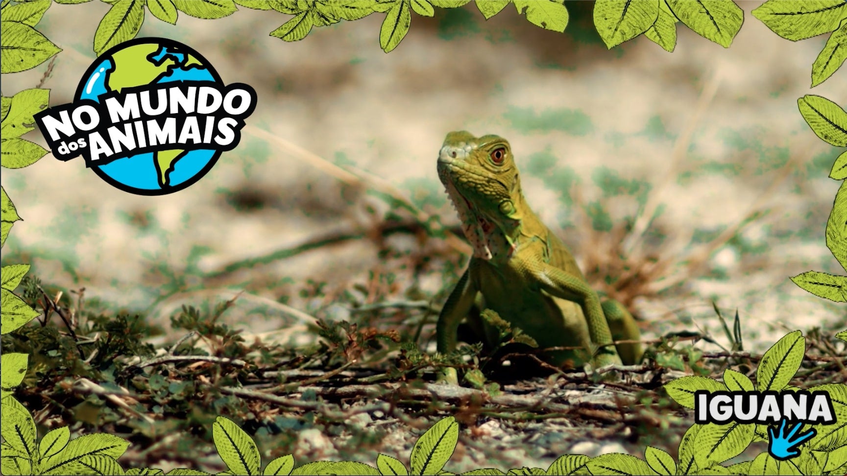 Imagem de No Mundo dos Animais - Iguana