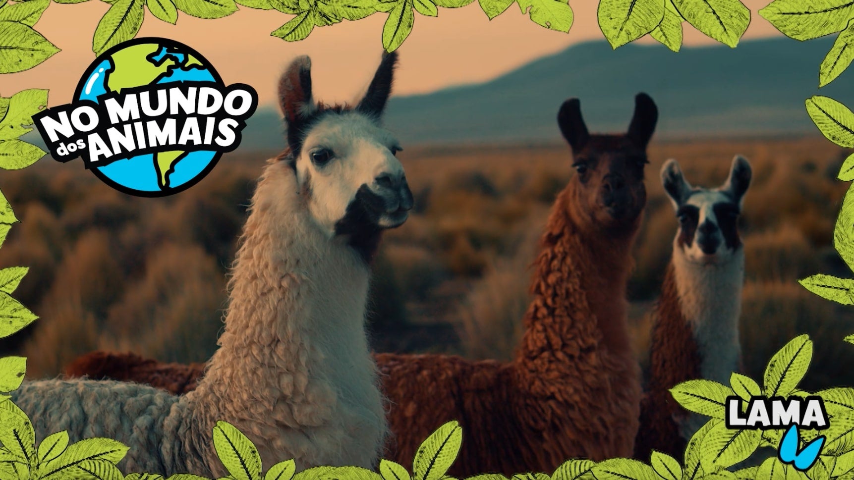 Imagem de No Mundo dos Animais - Lama