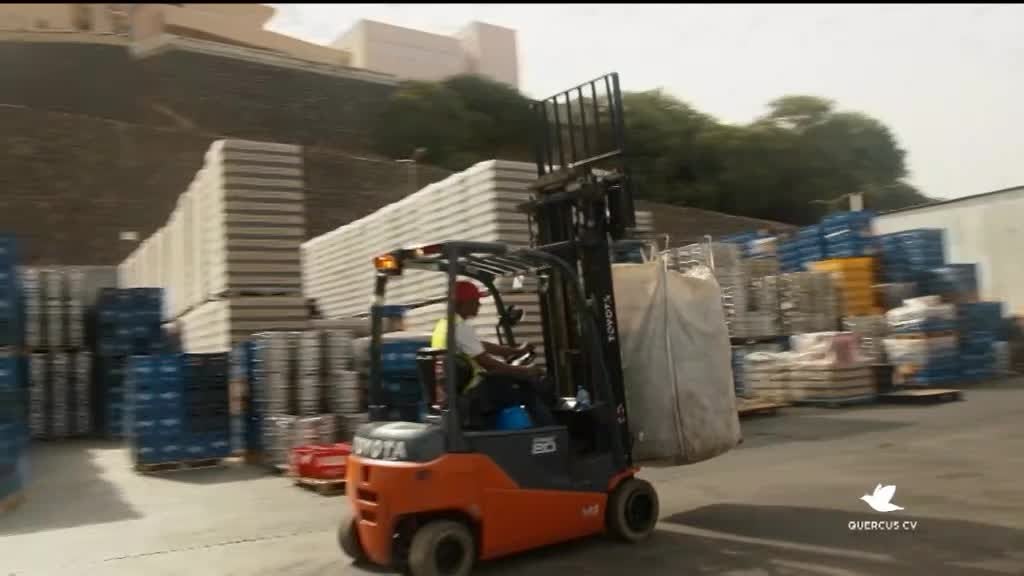 Imagem de Minuto Verde Cabo Verde