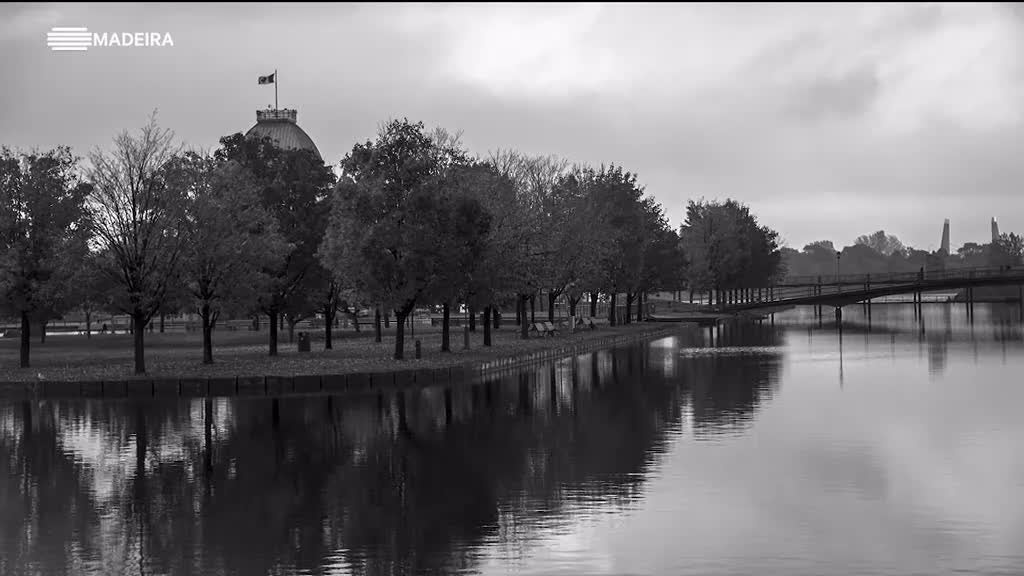 Imagem de Artistas Plásticos da Madeira