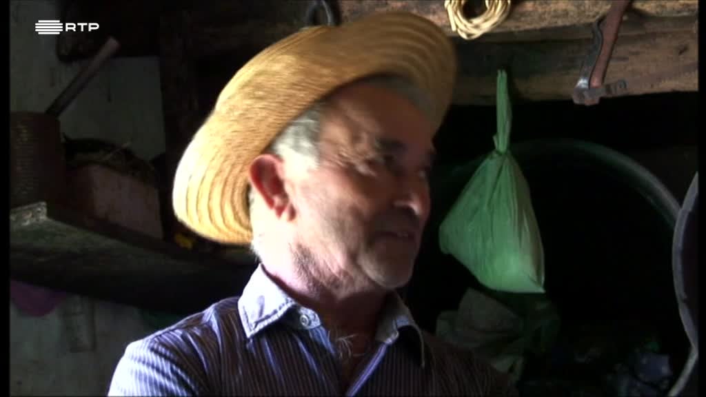 Imagem de Fajãs do Tempo
