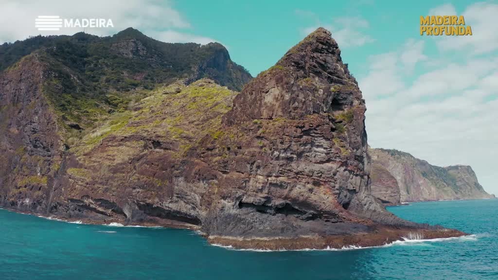Imagem de Madeira Profunda