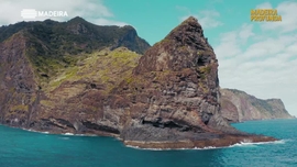 Imagem de Madeira Profunda