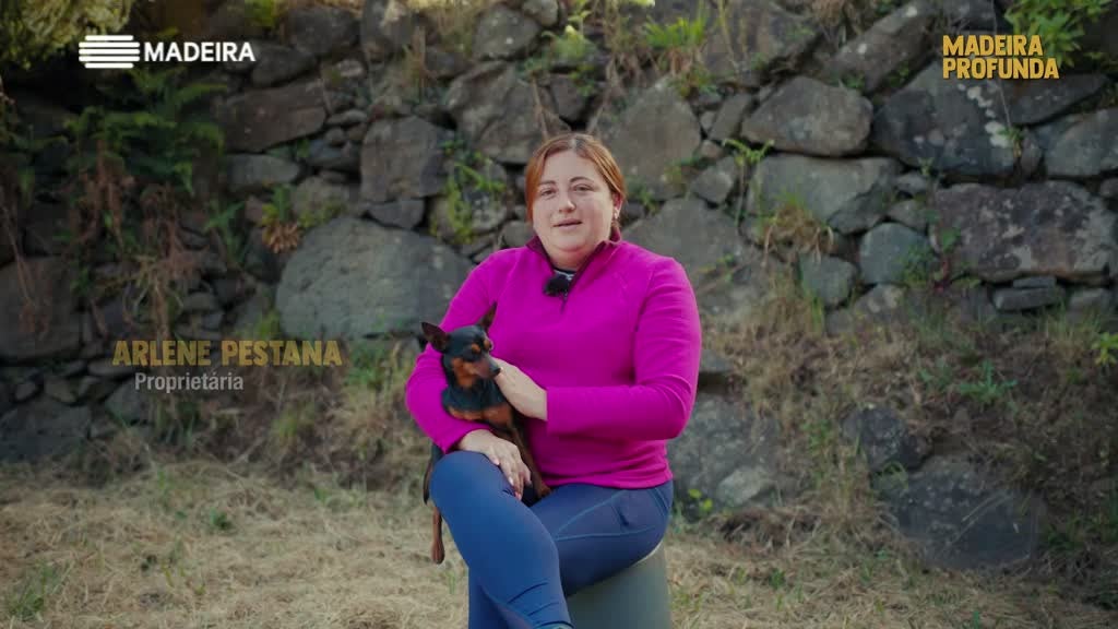 Imagem de Madeira Profunda