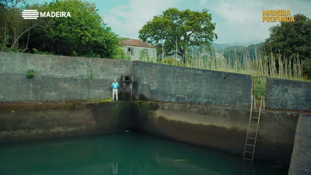 Imagem de Madeira Profunda