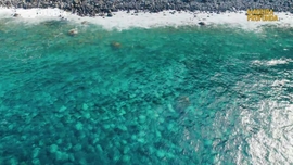 Imagem de Madeira Profunda