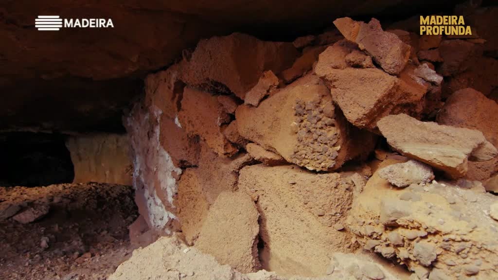 Imagem de Madeira Profunda