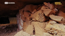 Imagem de Madeira Profunda