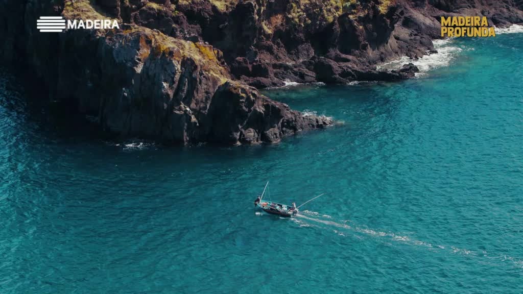 Imagem de Madeira Profunda