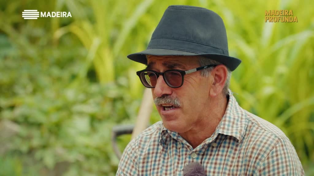 Imagem de Madeira Profunda