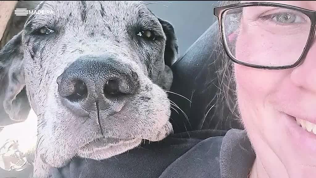 Imagem de Malta Jovem