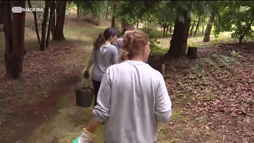 Imagem de Causa Nobre