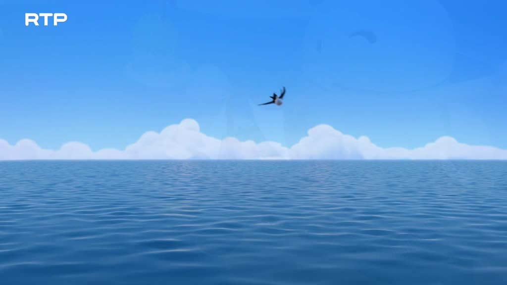 Imagem de Pirata & Capitão