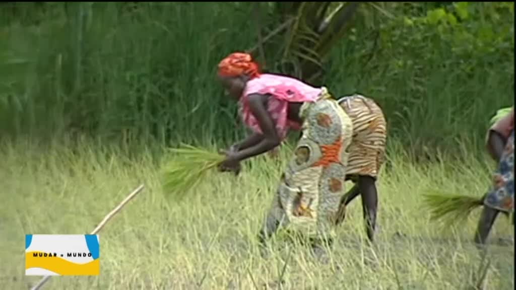 Imagem de Mudar o Mundo - Erradicar a Fome