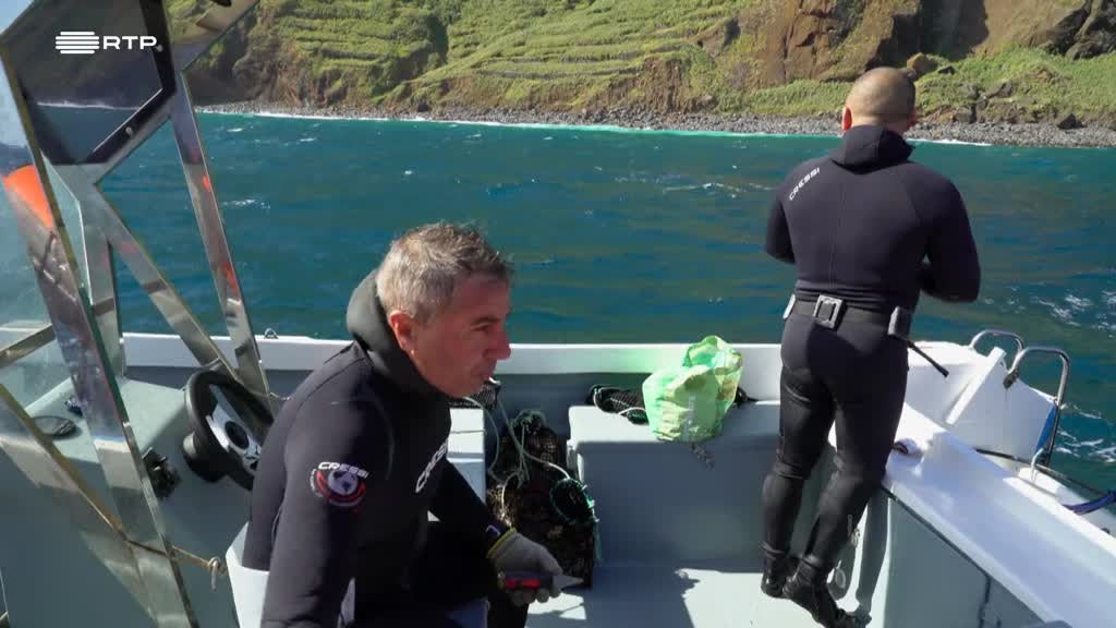 Imagem de Entre o Mar e a Terra - Uma Ilha Para Além de Um Jardim